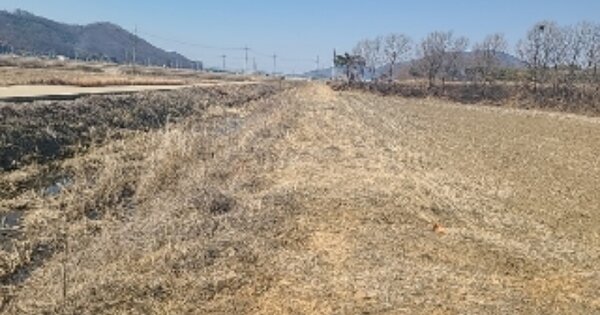 인천광역시 강화군 양도면 건평리 76-1 답 경매 물건 이미지