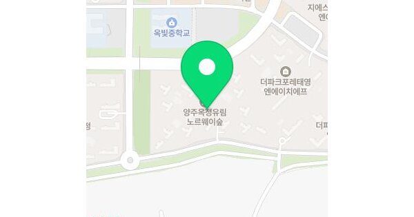 경기도 양주시 옥정동 1097 양주옥정유림노르웨이숲 102동 33층 3302호 미지정 경매 물건 이미지