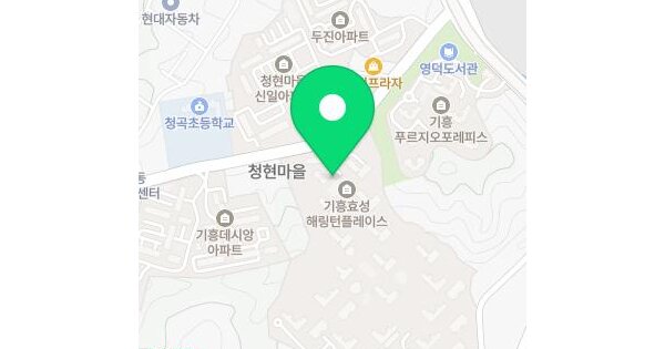 경기도 용인시 기흥구 영덕동 1267 용인기흥효성해링턴플레이스 113동 1층102호 미지정 경매 물건 이미지