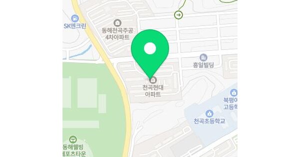 강원특별자치도 동해시 천곡동 380-2 현대아파트 106동 11층1105호 미지정 경매 물건 이미지