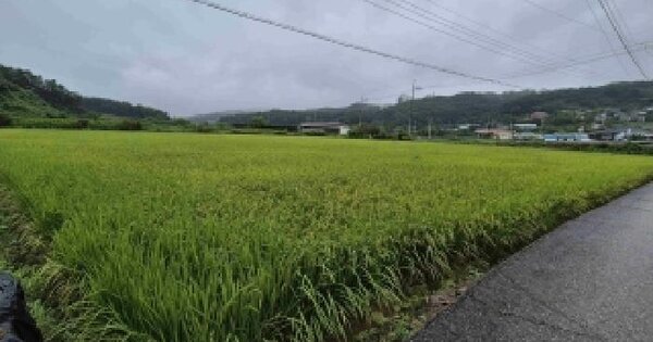 충청남도 천안시 동남구 목천읍 교천리 134-8  미지정 경매 물건 이미지
