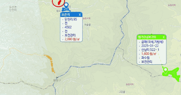 경상북도 안동시 도산면 단천리 91  미지정 경매 물건 이미지