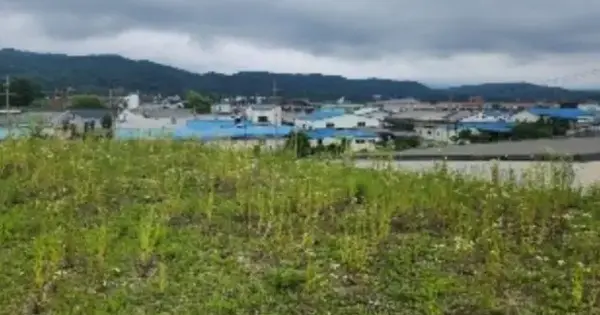 경기도 양주시 은현면 봉암리 428-4 전 경매 물건 이미지