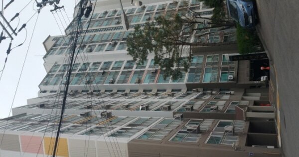 경기도 파주시 금릉동  196-3 동양부로미아파트 101동 2층203호 아파트 경매 물건 이미지
