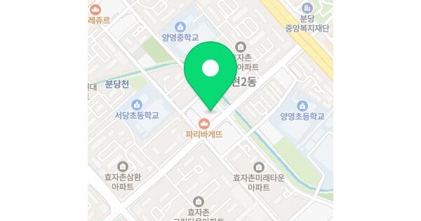 경기도 성남시 분당구 서현동 305-1  미지정 경매 물건 이미지