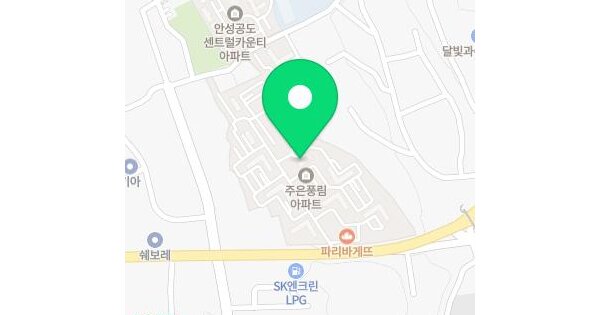 경기도 안성시 공도읍 용두리 752 주은풍림아파트 105동 9층903호 미지정 경매 물건 이미지