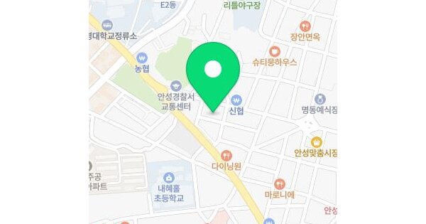 경기도 안성시 석정동 29-2 엘리시아 1동 9층917호 미지정 경매 물건 이미지