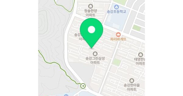 대전광역시 유성구 송강동 199 송강그린아파트 306동 5층509호 미지정 경매 물건 이미지