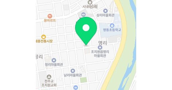 세종특별자치시  조치원읍 명리 13-2 제1동 미지정 경매 물건 이미지