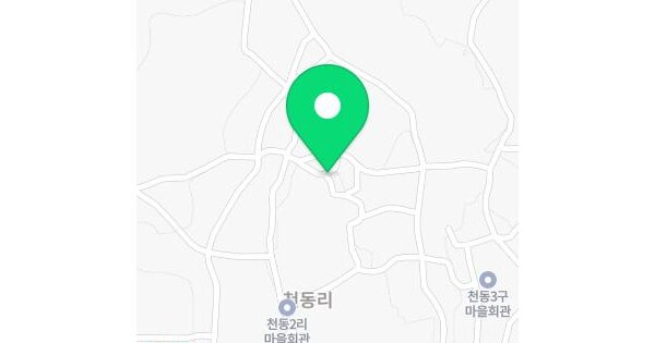 충청남도 논산시 광석면 천동리 332  미지정 경매 물건 이미지
