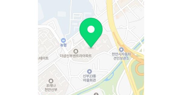 충청남도 천안시 동남구 신부동 1004 더샵 신부센트라 103동 11층1102호 미지정 경매 물건 이미지