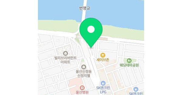 울산광역시 남구 삼산동 1403-3 태화강더뷰  8층809호 미지정 경매 물건 이미지