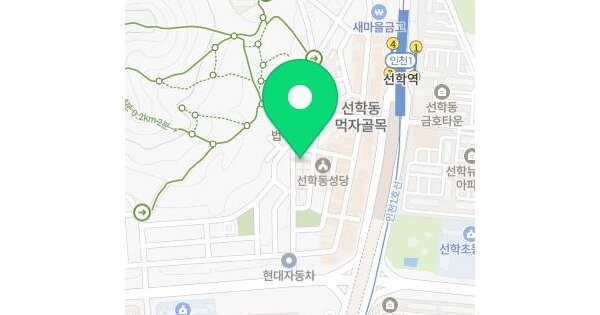 인천광역시 연수구 선학동 410 디자인타운 106동 2층202호 미지정 경매 물건 이미지
