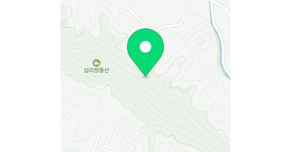충청남도 금산군 금성면 마수리 산121-2  미지정 경매 물건 이미지