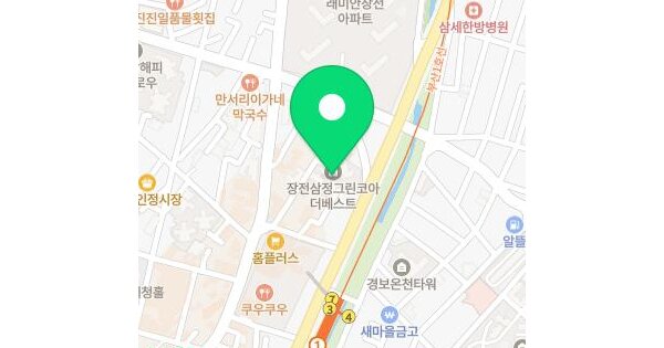부산광역시 금정구 장전동 646-8 장전삼정그린코아더베스트 103동 5층502호 미지정 경매 물건 이미지