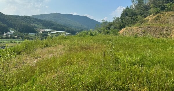 경기도 광주시 곤지암읍 장심리 304-12 임야 경매 물건 이미지