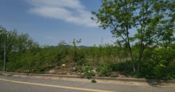인천광역시 영종구 운남동 1747-6 대지 경매 물건 이미지