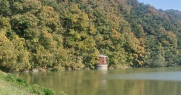 충청남도 아산시 도고면 석당리 산73-2 유지 경매 물건 이미지