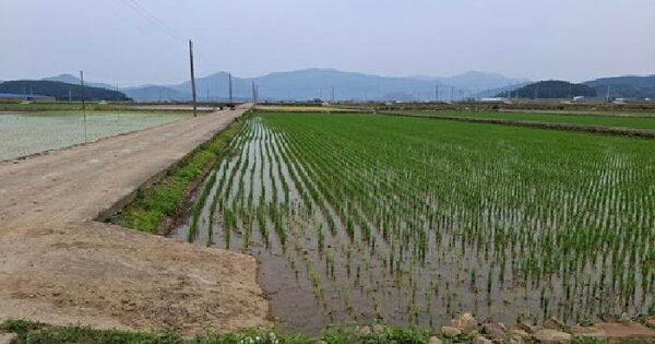 경상남도 남해군 이동면 초음리 68 답 경매 물건 이미지