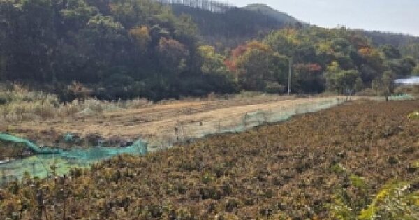 경상북도 안동시 길안면 현하리 749 전 경매 물건 이미지