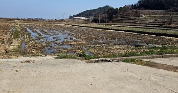 전남광주통합특별시 해남군 문내면 고평리 417-6 답 경매 물건 이미지