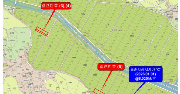 전남광주통합특별시 진도군 의신면 옥대리 1323-6 답 경매 물건 이미지