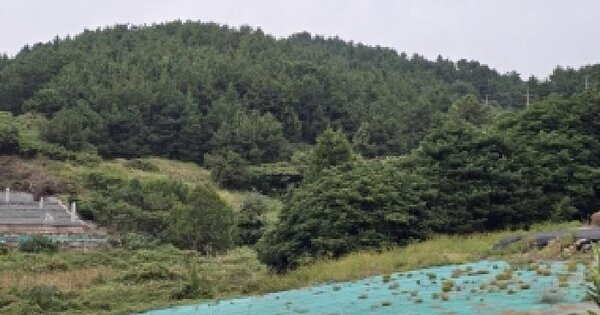 전남광주통합특별시 완도군 금일읍 척치리 305 전 경매 물건 이미지