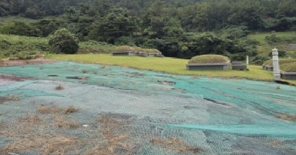 전남광주통합특별시 완도군 금일읍 척치리 1073 전 경매 물건 이미지