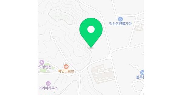 충청남도 예산군 덕산면 신평리 317-11  미지정 경매 물건 이미지