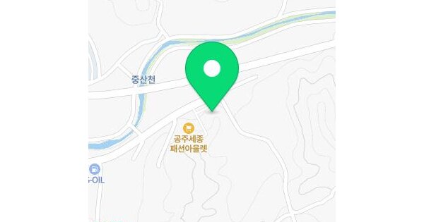 충청남도 공주시 송선동 458-5  미지정 경매 물건 이미지