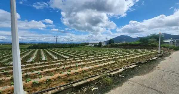 전남광주통합특별시 해남군 화원면 청용리 233-23 전 경매 물건 이미지