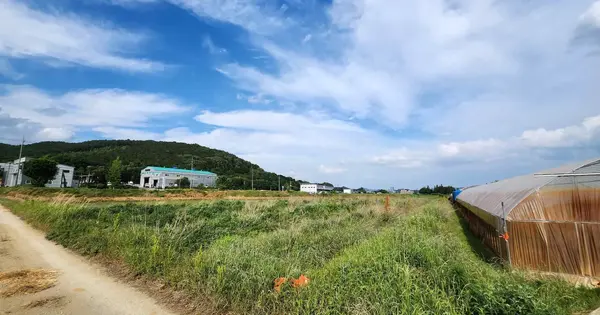 충청남도 천안시 동남구 성남면 신사리 559-7 답 경매 물건 이미지