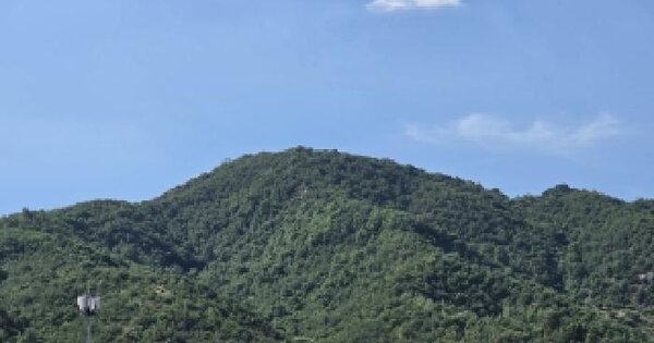 경상북도 성주군 초전면 봉정리 산9 임야 경매 물건 이미지