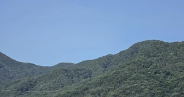 경상북도 성주군 초전면 용봉리 산19 임야 경매 물건 이미지