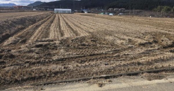 경상북도 칠곡군 가산면 학상리 310 답 경매 물건 이미지