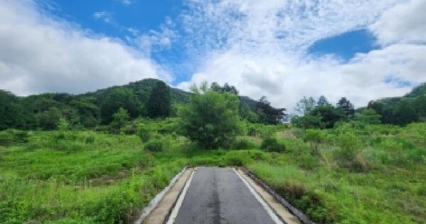 전남광주통합특별시 담양군 담양읍 학동리 724 대지 경매 물건 이미지