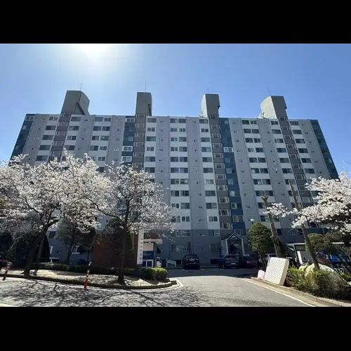 물건 사진