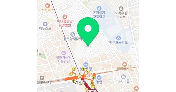 서울특별시 강남구 도곡동 951-14  미지정 경매 물건 이미지