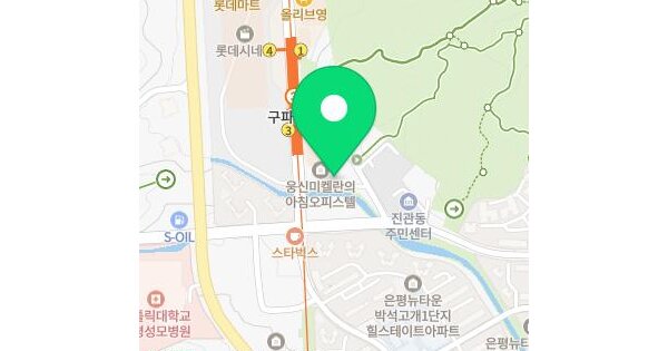 서울특별시 은평구 진관동 73 웅신미켈란의아침  1층119호 미지정 경매 물건 이미지