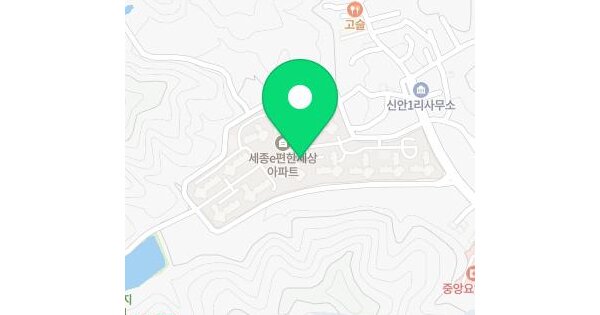 세종특별자치시  조치원읍 신안리 542 이편한세상세종 111동 9층901호 미지정 경매 물건 이미지