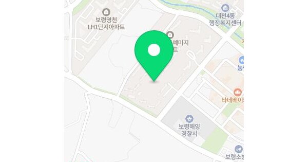 충청남도 보령시 명천동 1120 명천시티프라디움 101동 17층1705호 미지정 경매 물건 이미지