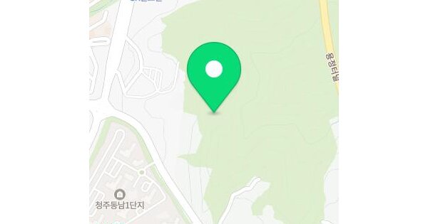 충청북도 청주시 상당구 용정동 산38  미지정 경매 물건 이미지