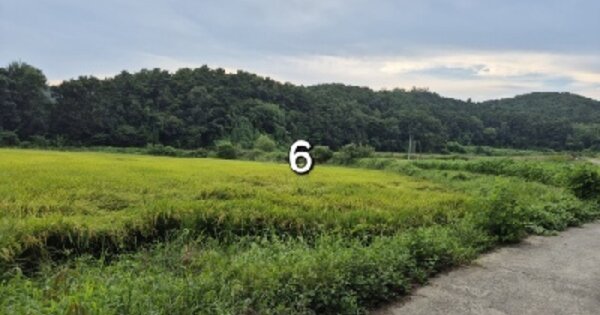 경기도 여주시 흥천면 외사리 410-2 답 경매 물건 이미지