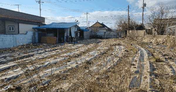 전남광주통합특별시 나주시 동강면 월송리 231 대지 경매 물건 이미지