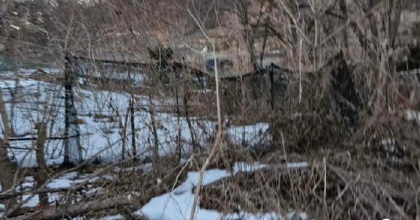 경기도 양평군 용문면 다문리 393-5 전 경매 물건 이미지