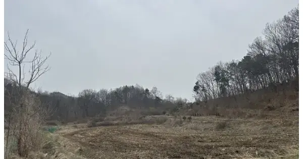 충청북도 보은군 수한면 질신리 521 전 경매 물건 이미지
