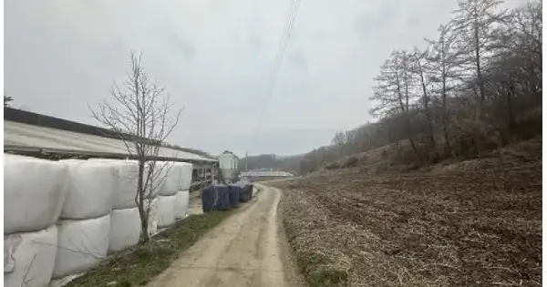 충청북도 보은군 수한면 질신리 483 전 경매 물건 이미지