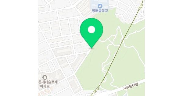 서울특별시 서초구 방배동 산16-2  미지정 경매 물건 이미지