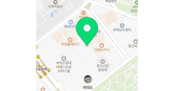 서울특별시 영등포구 여의도동 13-24 민족통일대통령리빙텔  제1층 제101호 미지정 경매 물건 이미지