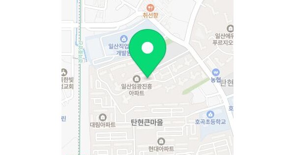경기도 고양시 일산서구 탄현동 1634 일산임광,진흥아파트 110동 7층702호 미지정 경매 물건 이미지
